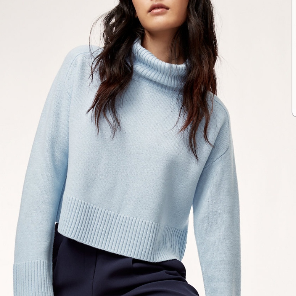 Aritzia Titus Sweater